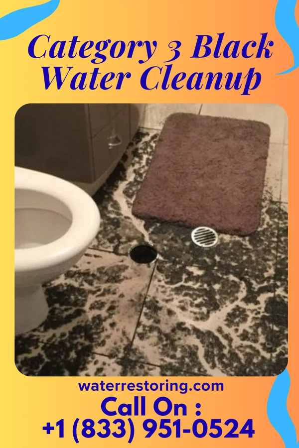 Category 3 Black Water Cleanup in Stevens Point, WI
