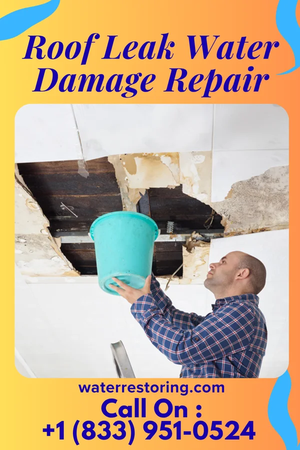 Roof Leak Water Damage Repair in Stevens Point, WI