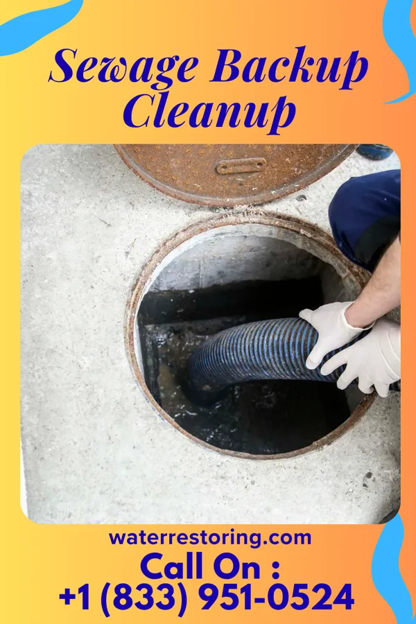 Sewage Backup Cleanup in Stevens Point, WI